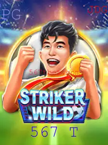 Explorando o Fantástico Mundo de StrikerWILD